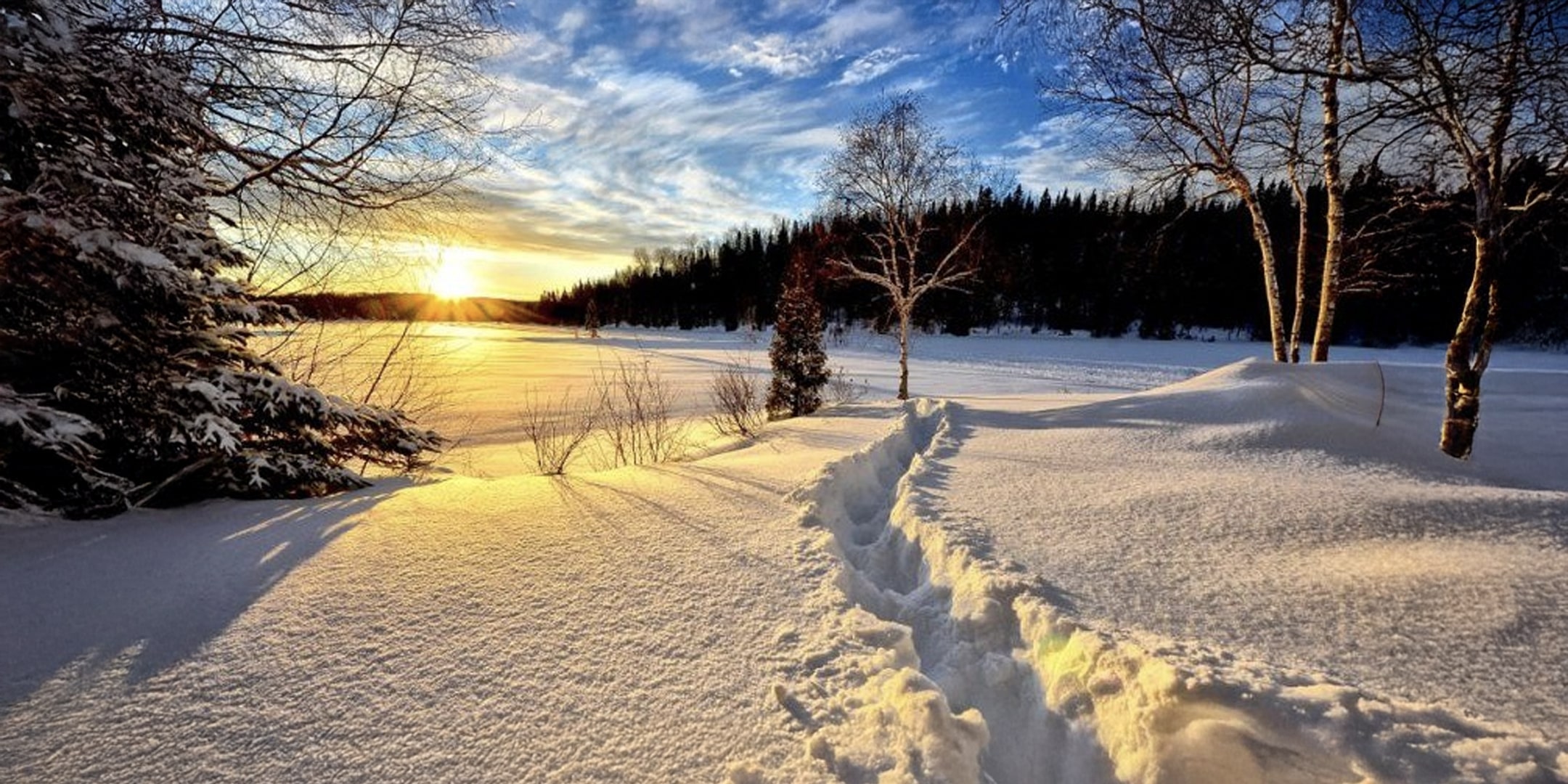 Setting 2025 Intentions: using lessons and tools of abundance for an Open Horizon