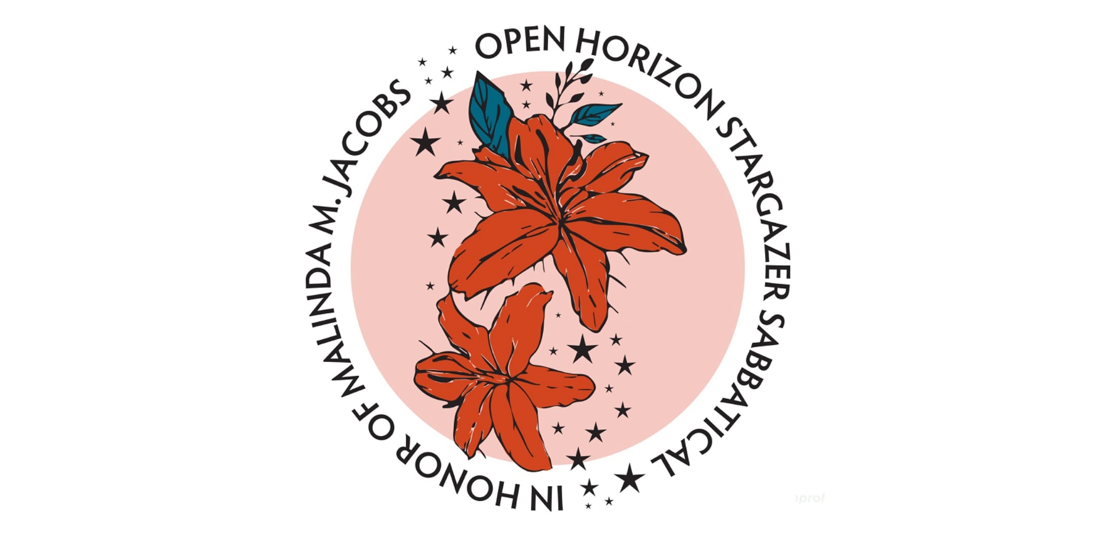 Selecting Stargazers: Updates on the Open Horizon pilot Sabbatical